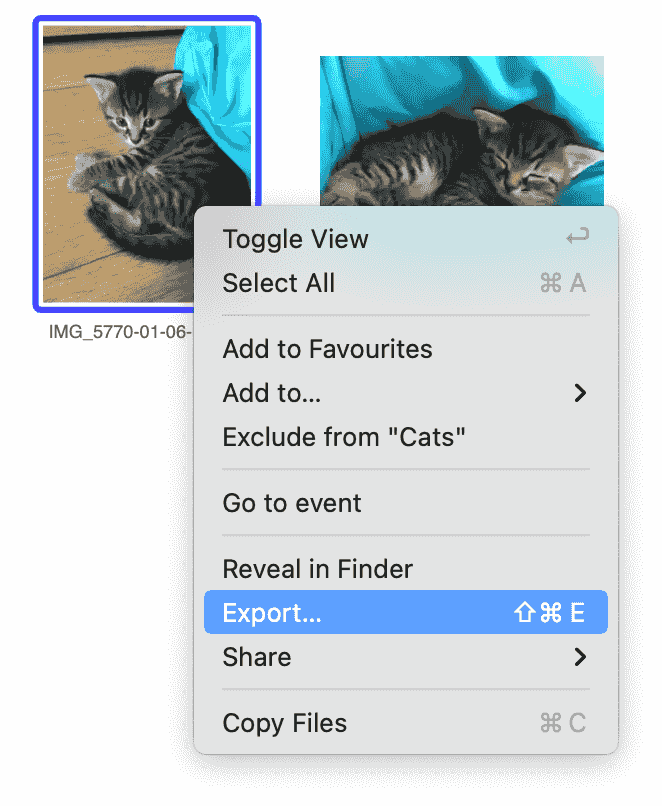 Export photo wia context menu in Tonfotos